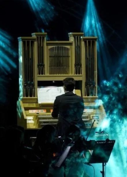 Шоу трех органов